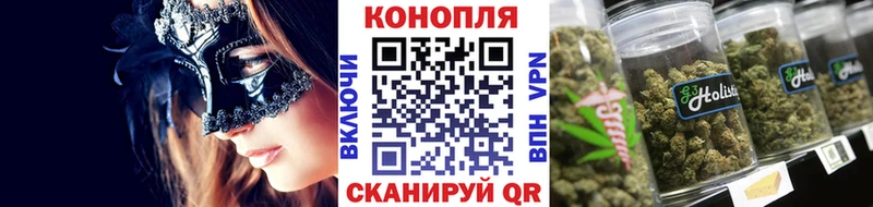 мега вход  как найти   Фролово  Марихуана индика 